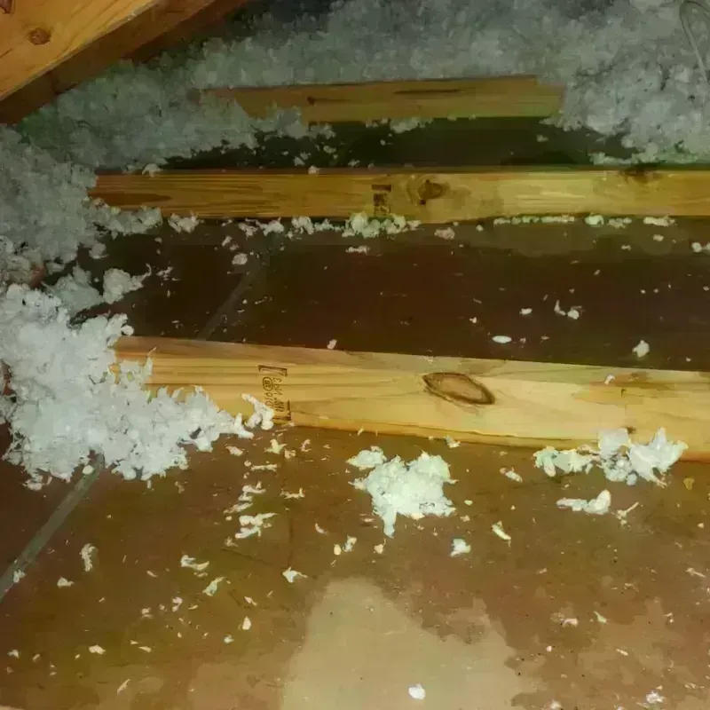 Attic Water Damage in Adrian, MI