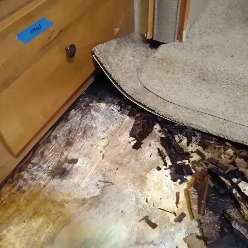 Wood Floor Water Damage in Adrian, MI